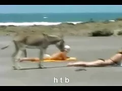 Miután összegyűjtötte a csajt a pályán, az ember azonnal elkezdte ingyen poorno tenyészteni, hogy szeretkezzen. De, rossz hölgyek, akik a közelmúltban úgy döntöttek, hogy húzzák a kötelet a barátjától. Csak húzza a bugyit, majd elkezdte maszturbálni a farkát közvetlenül egy autó, ő Észak gyorsabban és gyorsabban. Miután dolgozott egy, ő, miután elkezdte büntetni a Bárka Hétfő. Most élvezze a szórakozást, mint a vihar, az emberek, akik a szórakozás folyamatát rögzítik, a kezdetektől-az első személy szemszögé