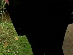A lányok szeretnek szopni, majd pornofilmek magyarul a hüvelyhez vezet.